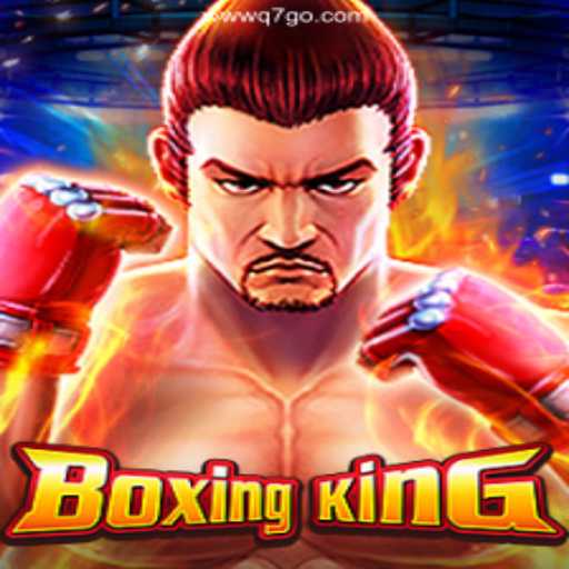Exploring BoxingKing: Dive into Brazil's Thrilling Online Gaming Scene